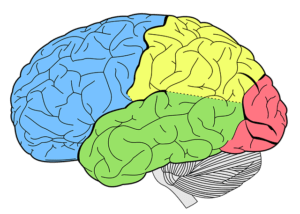 Understanding Schizoaffective Disorder