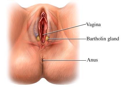 bartholin abscess