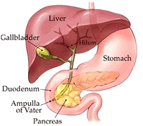 gall bladder tumors