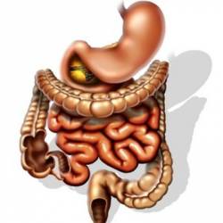 gastroenteritis