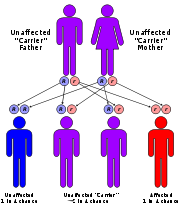 dubin johnson syndrome