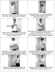 exercise
