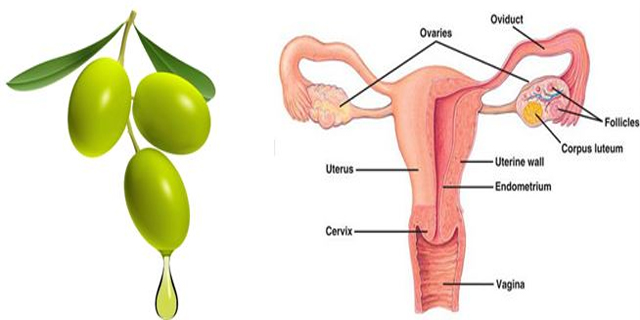 drthind_homeopathy_olives_chd
