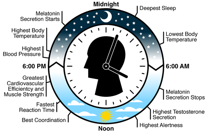 drthind's_ homeopathy_biological clock_sleep_chandigarh
