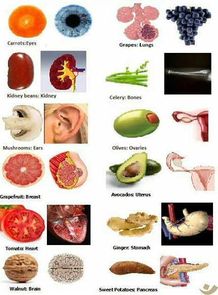 Foods that look like your body parts they are good for