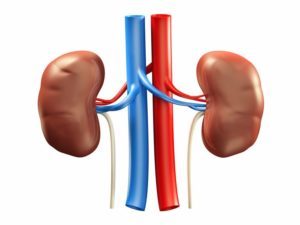 bad kidney