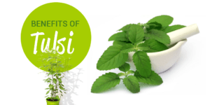 tulsi-benefits