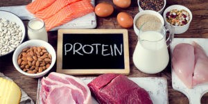 burn more fat naturally- protein