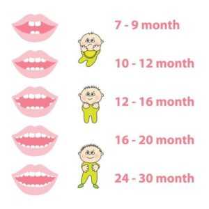 dentition in children