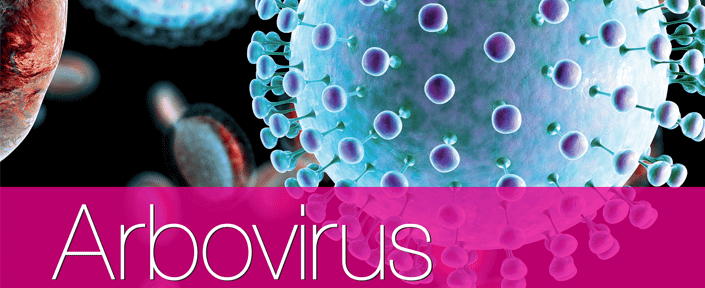 Arbovirus Signs & Symptoms Prevention Dr. Thind's Homeopathy