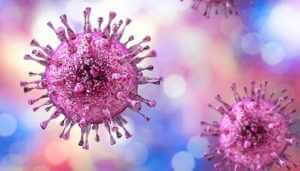herpes simplex virus