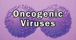 Oncogenic Virus