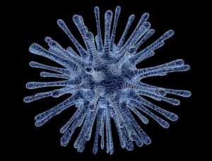 wanowrie virus