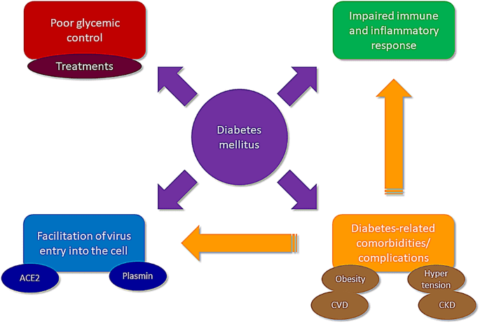 Mechanisms implicated in the exacerbating effect of diabetes on COVID-19.